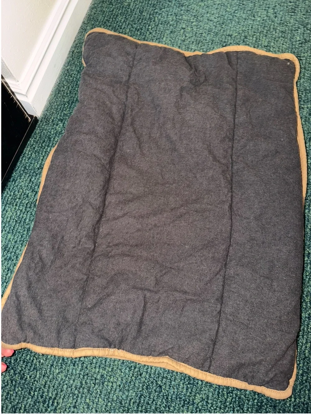 Pottery Barn Teen Pillow Cover New